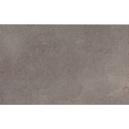 COGENT GRAY 10X16