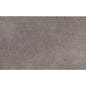 COGENT GRAY 10X16
