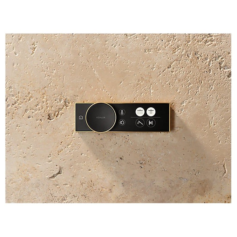 Wall Mount Digital Control, Vibrant Brushed Nickel