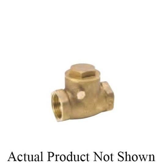 Swing Check Valve, 2 in, FNPT, Brass