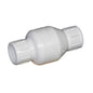 Spring Check Valve, 1 in, Socket, PVC