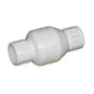 Spring Check Valve, 2 in, Socket, PVC