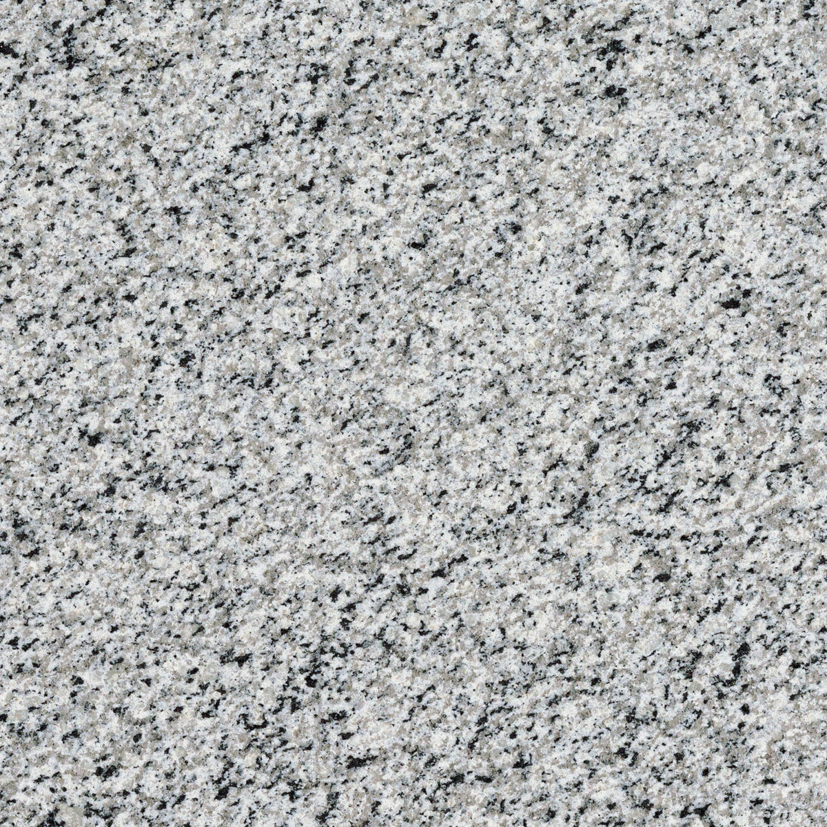 Bengal White