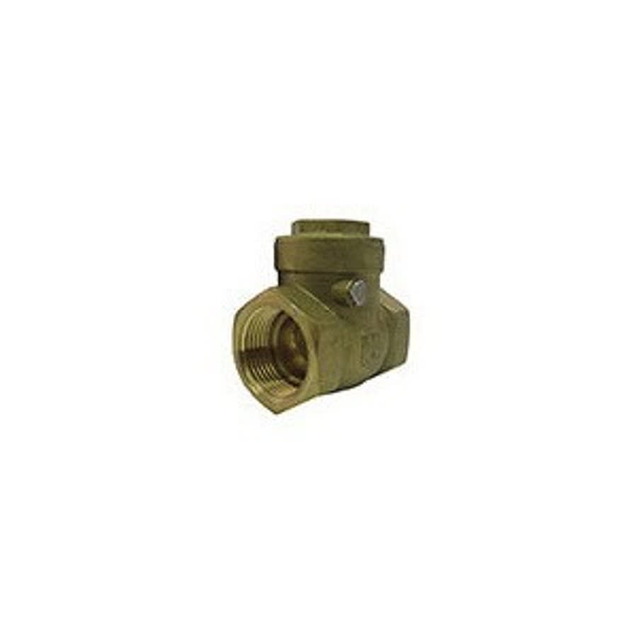 Swing Check Valve, 1/2 in, FNPT, Brass