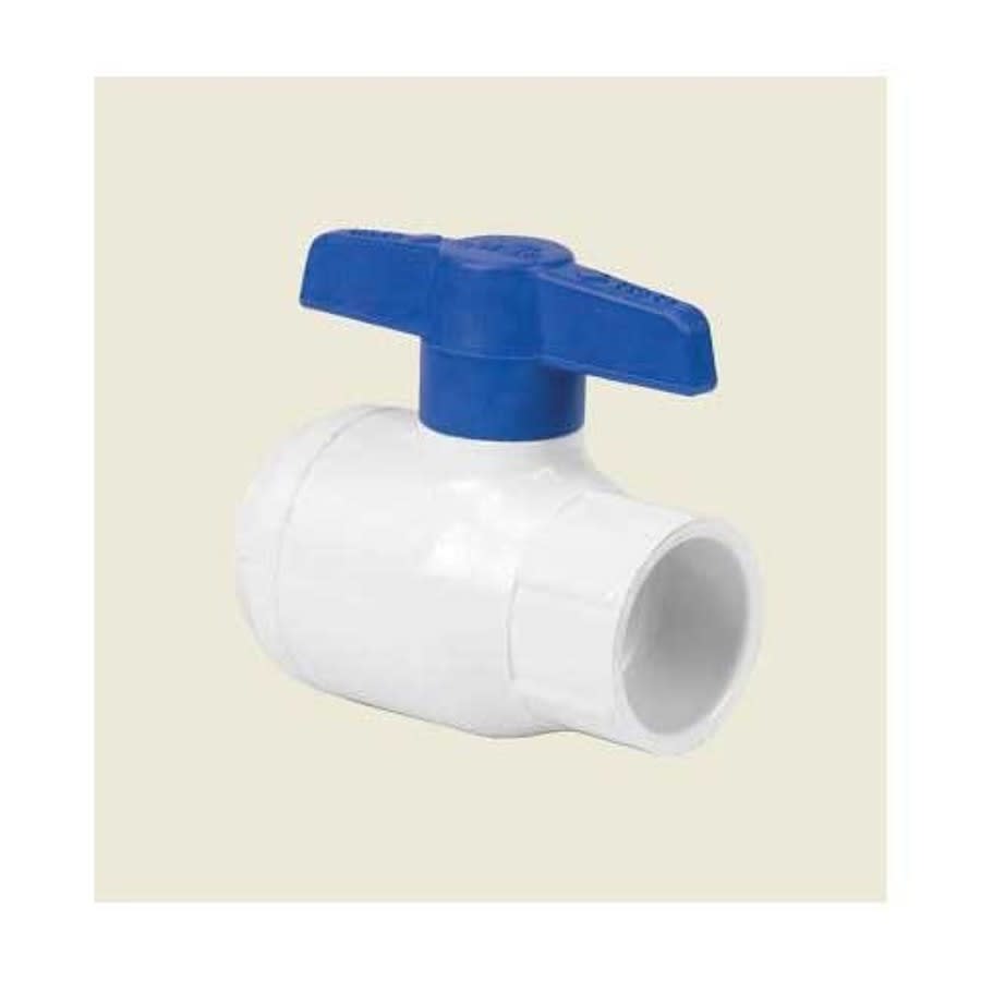 1-Piece Ball Valve, 1/2 in, Socket, Standard Port, PVC Ball, PVC