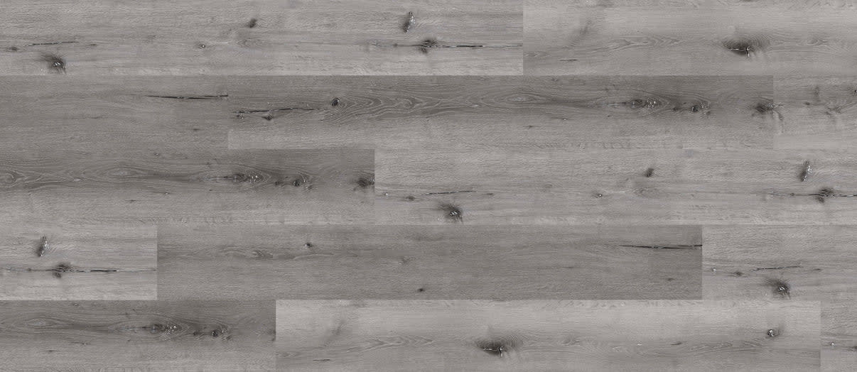 Harvard Oak