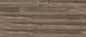 American Elm