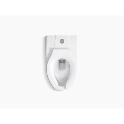 Kingston™ Ultra Toilet Bowl, Wall Mount, ADA, Elongated, Flushometer, White