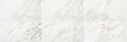 Marble Obsession Arabescato Rectangle 12X24 Matte