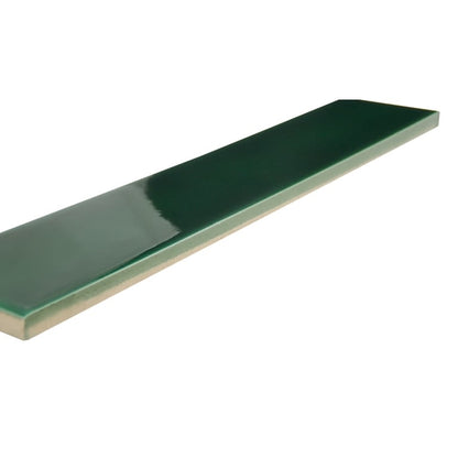 PLURIFY SUB GREEN GL 2X12