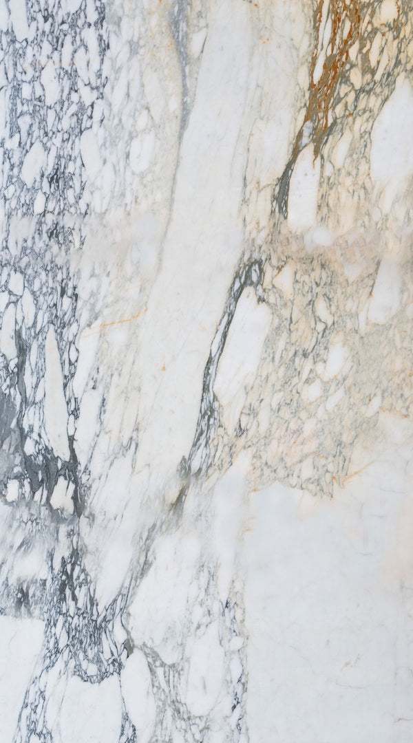 Calacatta Black Polished