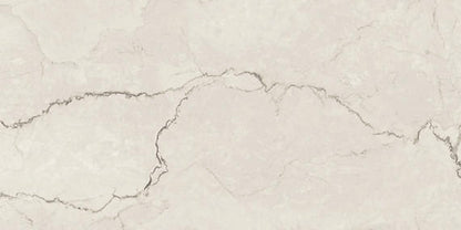 Sovran Bianca Rectangle 24X48 Satin