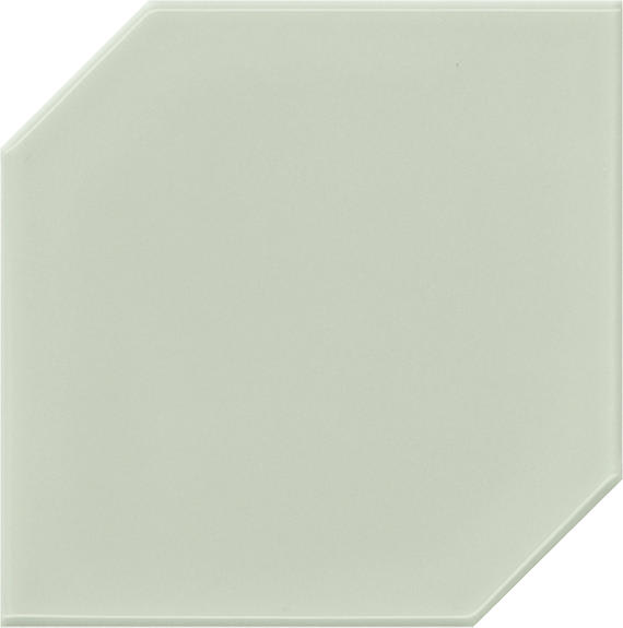RetroSpace Remix Succulent Green Hexagon 6X6 Glossy