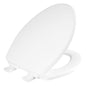 Ashland™ Toilet Seat, Elongated Bowl, Closed Front, With Cover, Wood, White