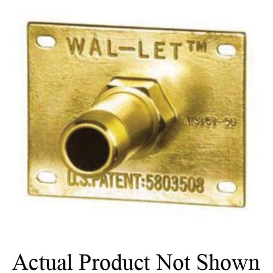 WalLet™ Wall Termination Fitting, 3/4 in, FNPT x Female C