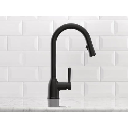 Adler 1.5 GPM Single Hole Pull Down Kitchen Faucet