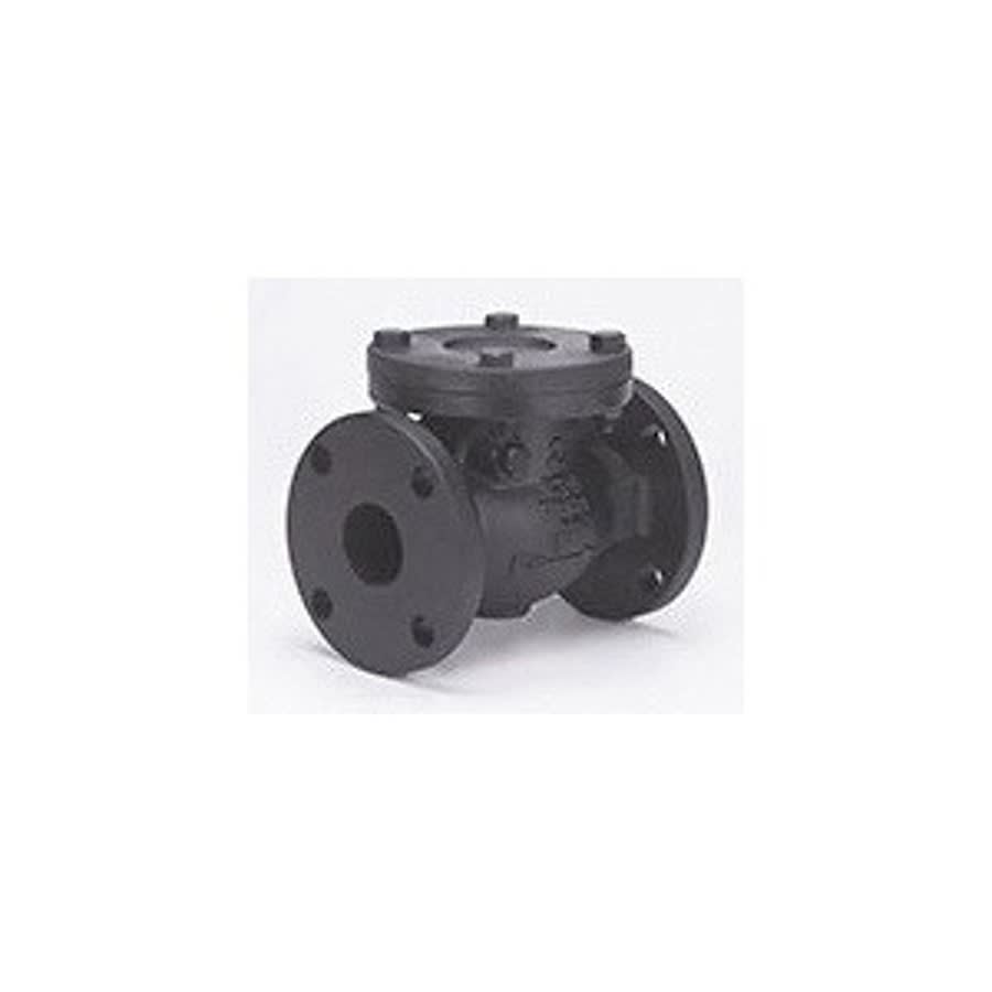 Swing Check Valve, 4 in, Flange, Cast Iron