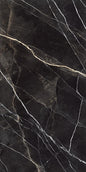 Zebra Calacatta