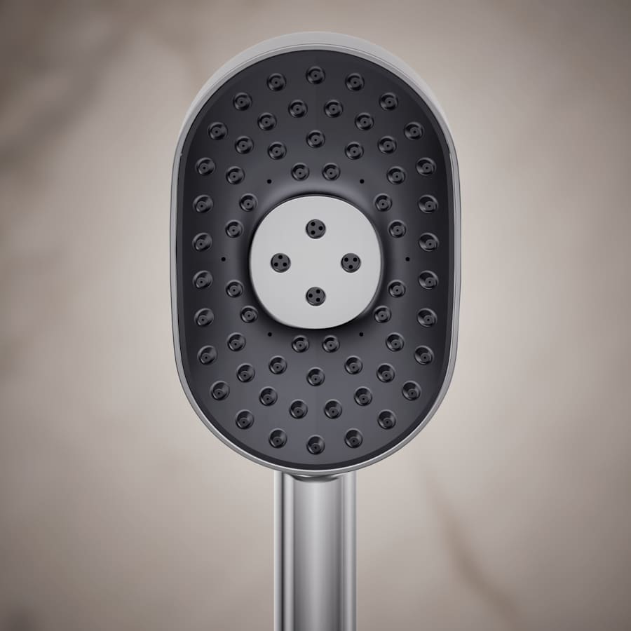 Statement 2.5 GPM Multi Function Hand Shower with MasterClean Sprayface