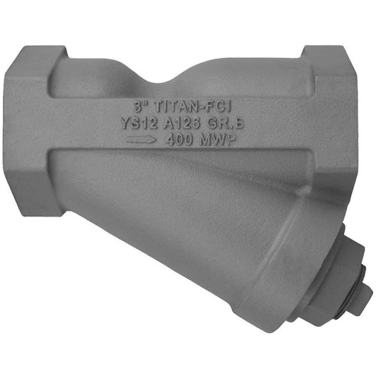 Strainer, 2 in, FNPT, Cast Iron