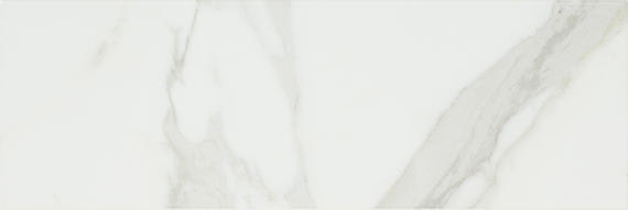 Platinum Magnolia Rectangle 12X24 Matte