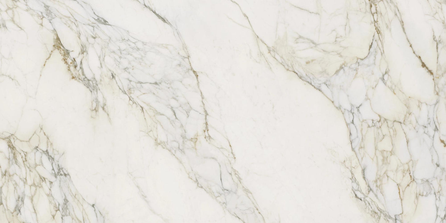 Calacatta Antico N01 Sr