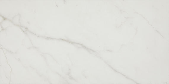 Platinum Calacatta Empire Rectangle 6X18 Glossy