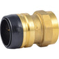 Adapter, 1-1/4 in, Push x FNPT, Brass