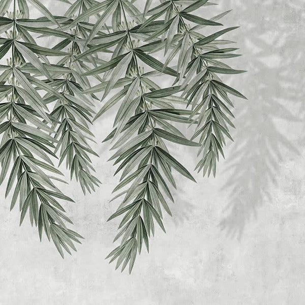 SKINS NATURE OLIVE CLEAR (Make to order)