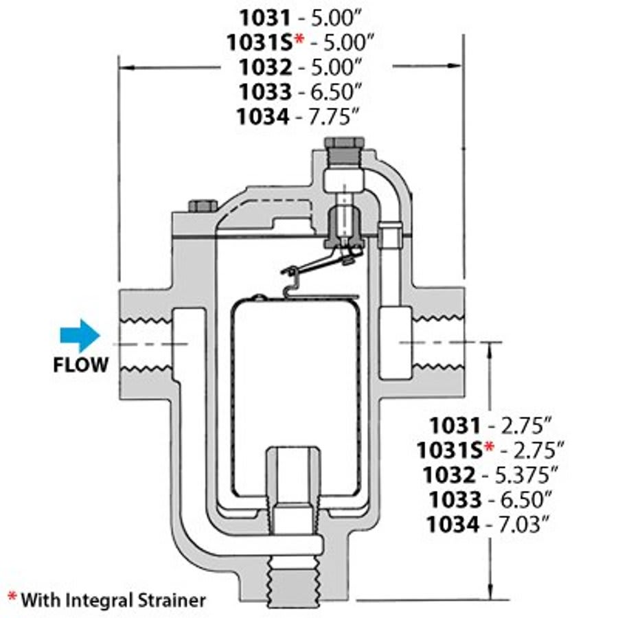 Steam Trap, 3/4 in, FNPT, Cast Iron