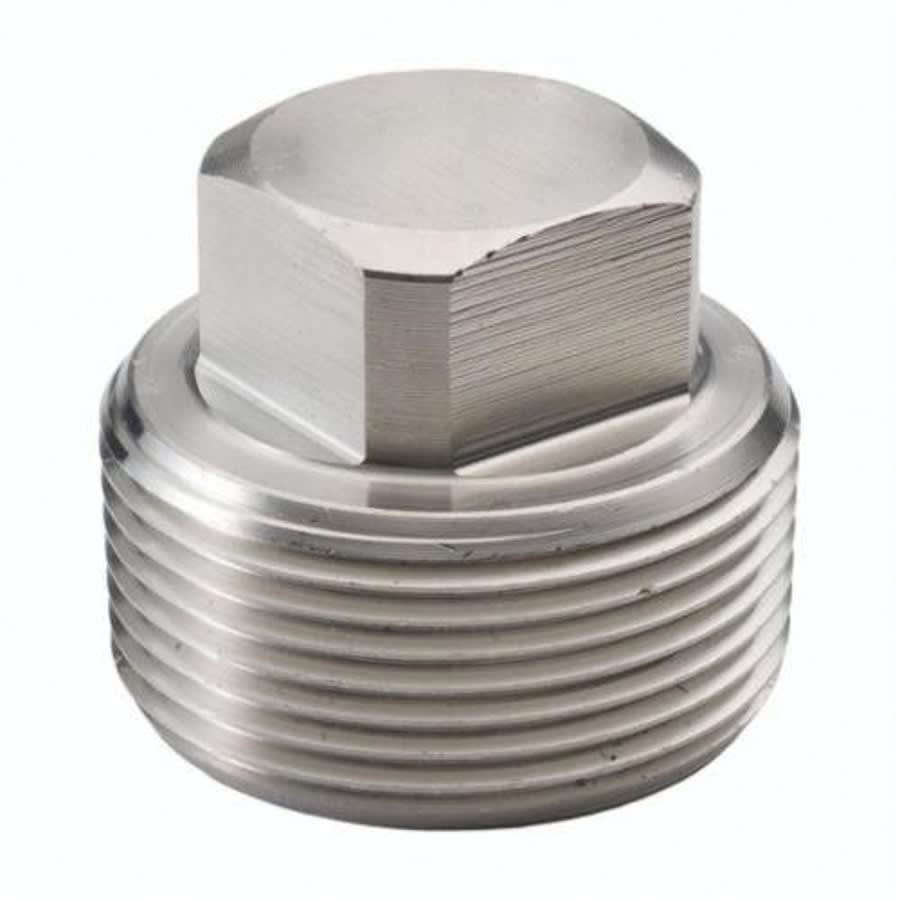 Square Head Plug, 1/2 in, MNPT, 304/304L Stainless Steel, 3000 lb