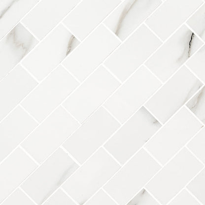 Aria Bianco Subway Tile 2X4