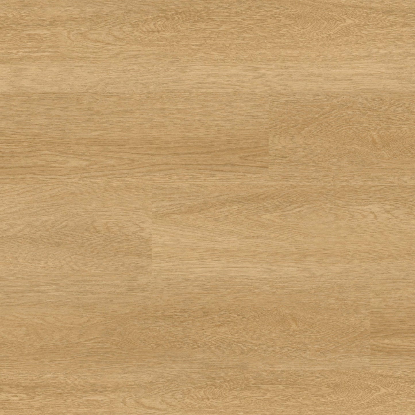 NOVE PLUS BAYSIDE BUFF 9X48