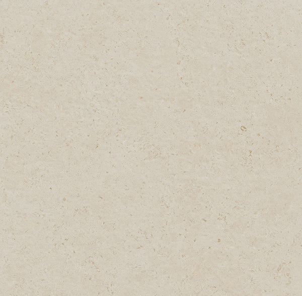 LIMESTONE BEIGE 24X48