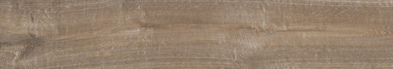 Platinum Natural Plank 6X36 Matte