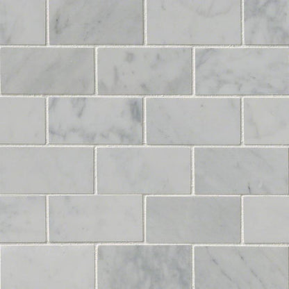 Carrara White Tile 2x4