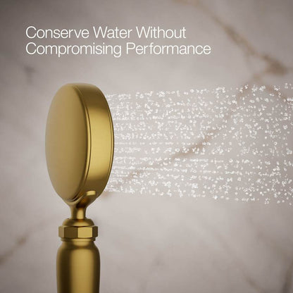 Artifacts 1.75 GPM Single Function Hand Shower with MasterClean Sprayface