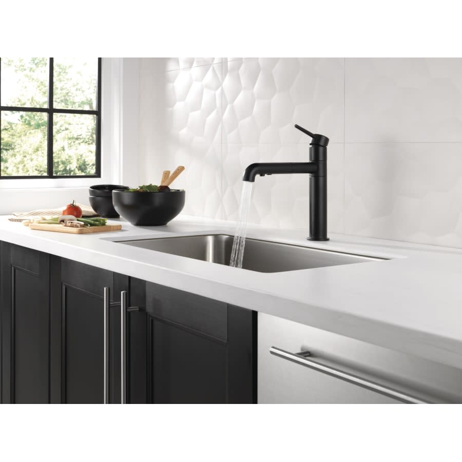 Trinsic Pull-Out Kitchen Faucet - Includes Lifetime Warranty