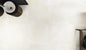 Onix Blanco