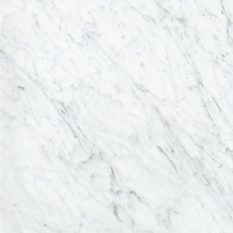 MARBLE BIANCO GIOIA PL 24X24