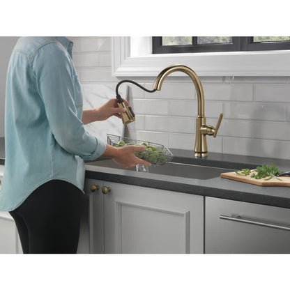 Coranto 1.8 GPM Single Hole Pull Down Kitchen Faucet with Magnetic Docking Spray Head and ShieldSpray