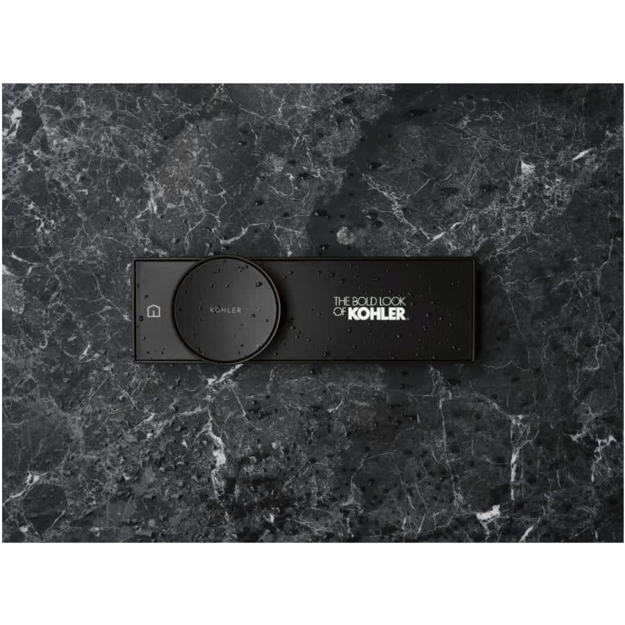 Anthem Programmable Digital Shower Controller