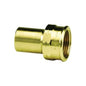 Female Adapter, 1-1/2 in, Fitting x FNPT, Copper