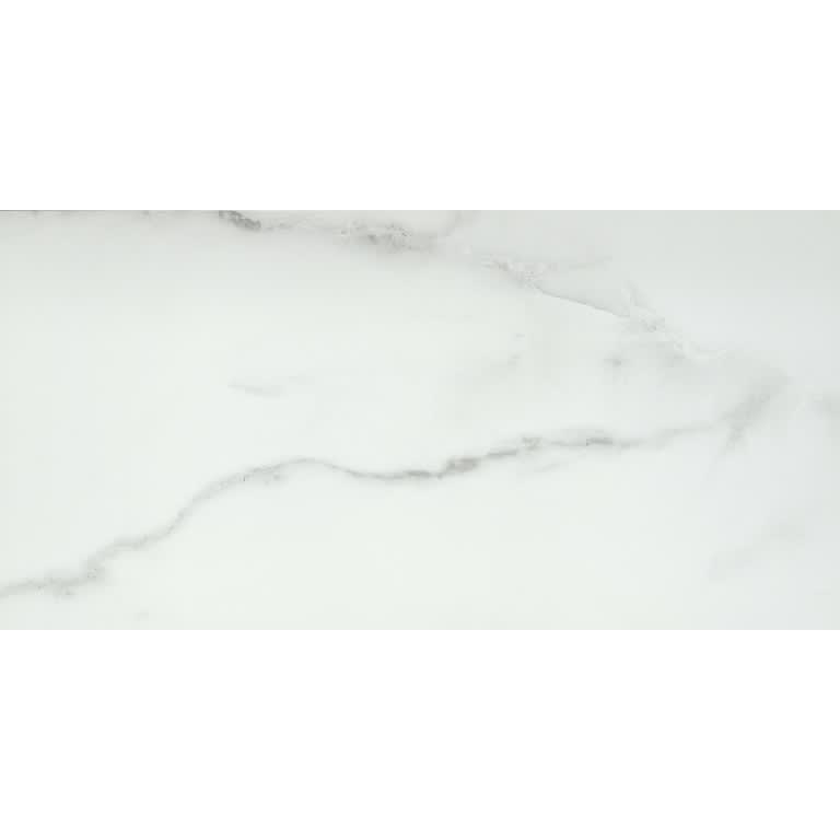 VISCONDE SILVER PL 12X24