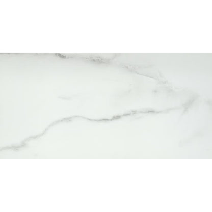 VISCONDE SILVER PL 12X24
