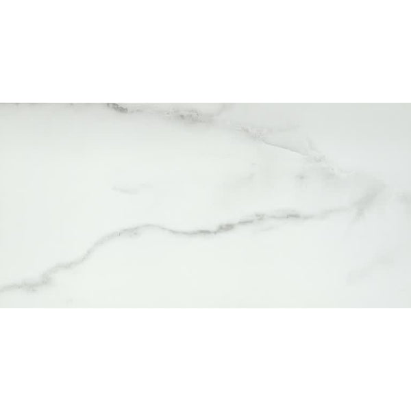 VISCONDE SILVER PL 12X24