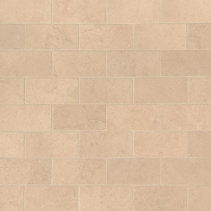 Aria Cremita Subway Tile 2X4