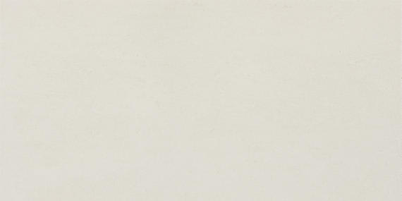 Theoretical Evolved Wishful White Rectangle 12X24 Textured
