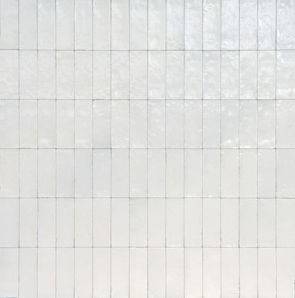 Rice Bianco Rectangle 2X6 Glossy