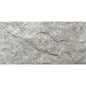 REFORM SILVER 5X10